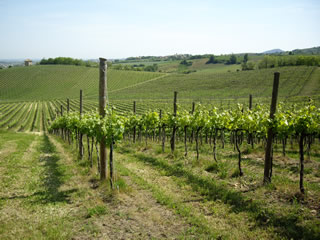 e0056094_15555338.jpg