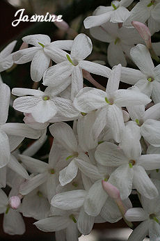 e0073397_12474195.jpg