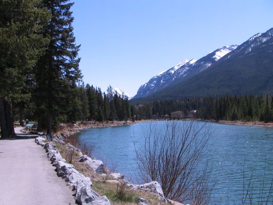 b0051109_884540.jpg