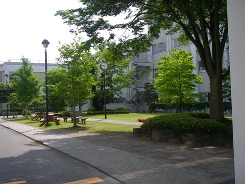 c0097309_2242135.jpg
