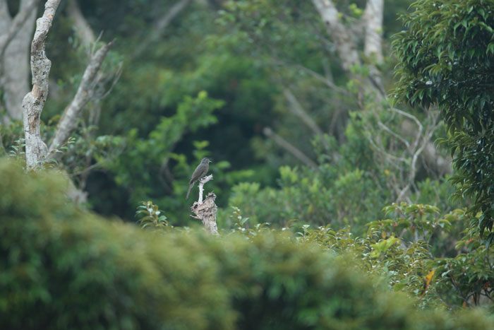 沖縄撮影旅行　其の２　沖縄本島最後の日_d0053309_1115235.jpg