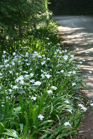 e0071225_262759.jpg