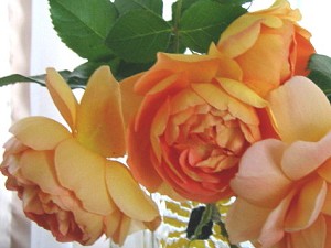 a0089450_04538.jpg