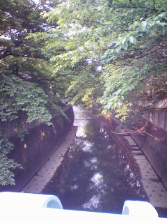 まりこす。神田川~_d0122950_2019849.jpg