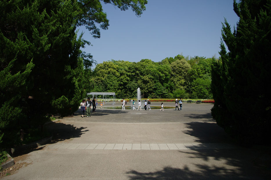 f0152550_23245055.jpg