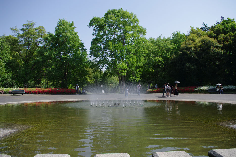 f0152550_2326573.jpg