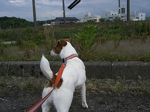 f0108553_1933377.jpg
