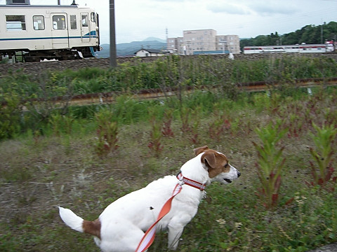 f0108553_19353677.jpg