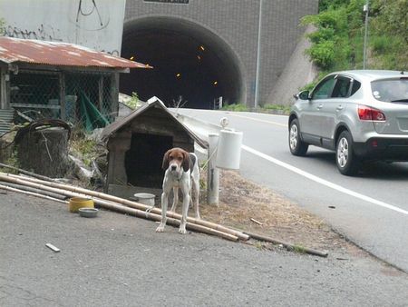 ぶらり途中下車の旅。。。_a0100160_2213237.jpg