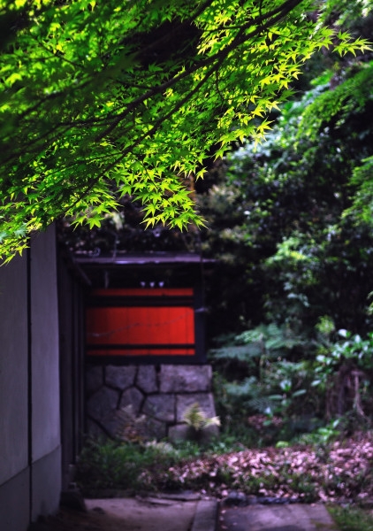 山の辺の道～①　〈奈良県〉_f0033161_0165119.jpg