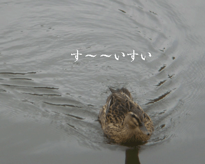 e0126094_9104711.gif