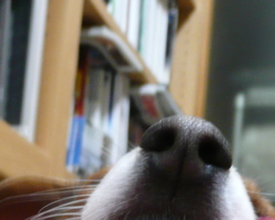 f0146198_14124372.jpg