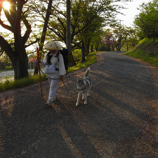 出たな! 化けもの! ~4月23日 根来寺_c0049299_21513770.jpg