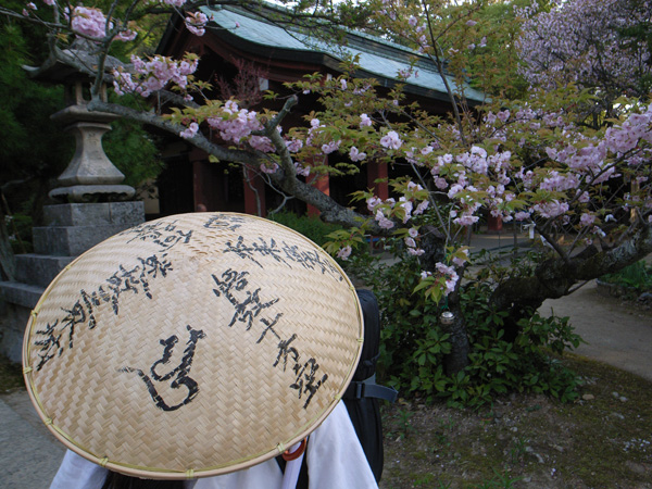 出たな! 化けもの! ~4月23日 根来寺_c0049299_21515864.jpg