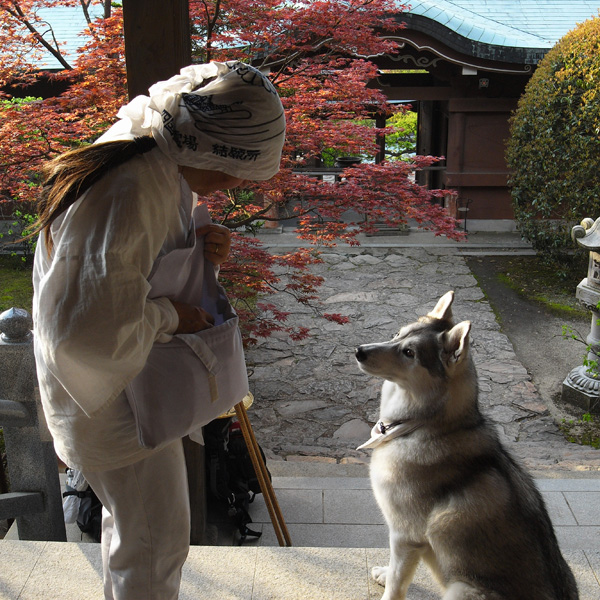 出たな! 化けもの! ~4月23日 根来寺_c0049299_21523199.jpg
