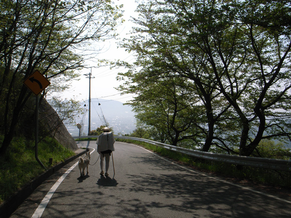 出たな! 化けもの! ~4月23日 根来寺_c0049299_2155131.jpg