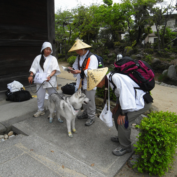 出たな! 化けもの! ~4月23日 根来寺_c0049299_21553859.jpg