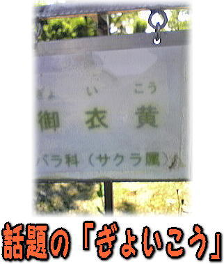 投稿写真シリーズ_d0070316_1911342.jpg