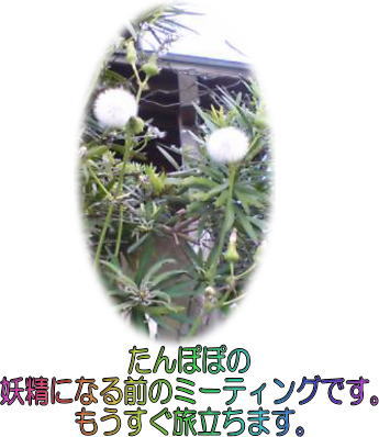 投稿写真シリーズ_d0070316_19123812.jpg