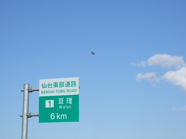 f0143119_13132169.jpg