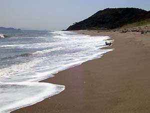 c0019338_935355.jpg