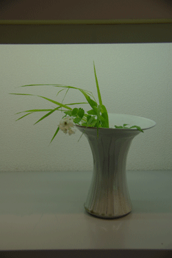 f0159844_23275345.gif