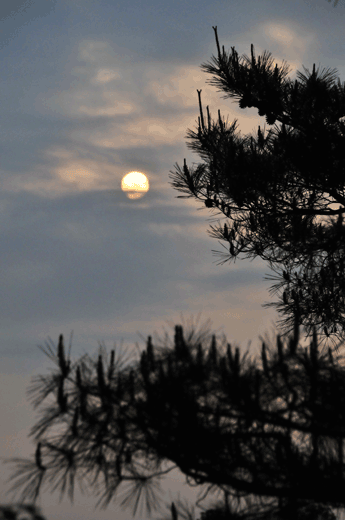 c0093046_6461043.gif