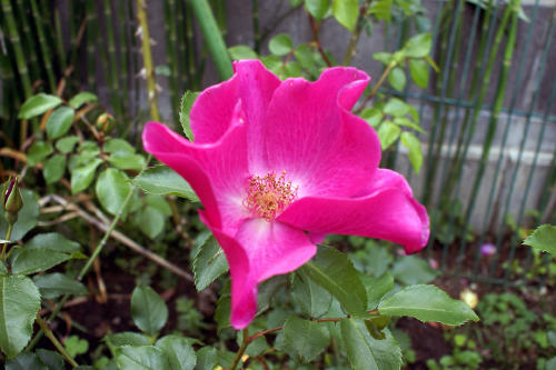 f0031546_15365315.jpg