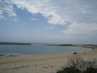 b0082747_1052256.jpg
