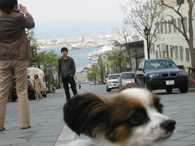f0122259_13391.jpg