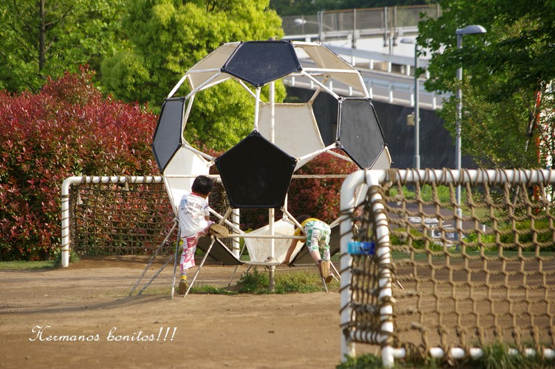 d0141161_0132298.jpg