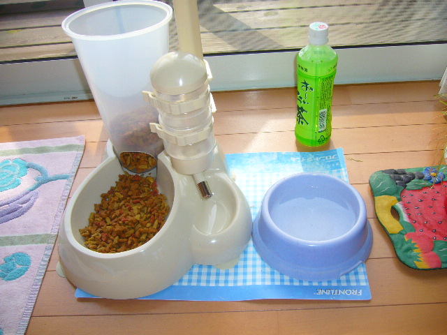2008年5月17日(土)寅ちゃんと実家と京成バラ園!_f0060461_17233161.jpg