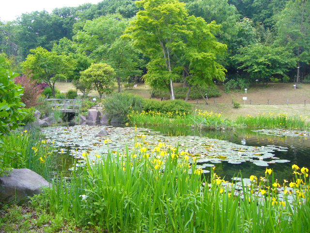 2008年5月17日(土)寅ちゃんと実家と京成バラ園!_f0060461_1729985.jpg