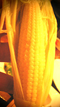 b0051666_11123625.jpg
