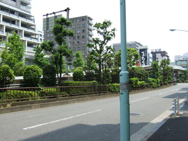 d0080566_14301082.jpg