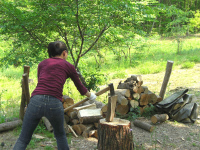 a0086067_23412176.gif