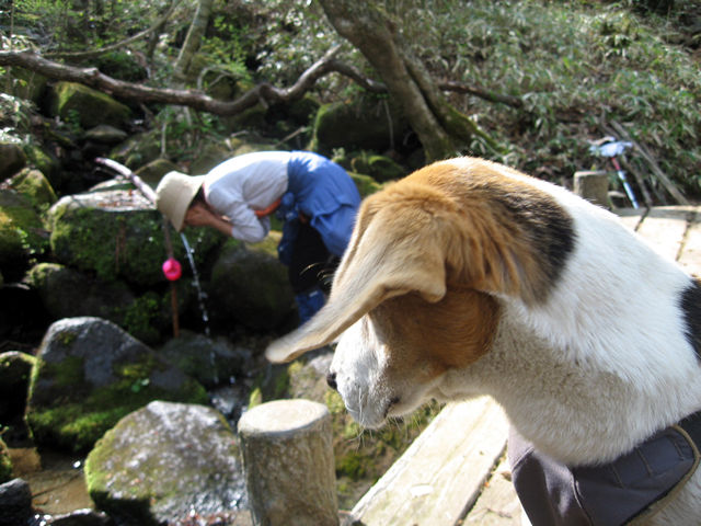 ■朝飯前に雁ヶ腹摺山だー！_f0015474_18394852.jpg