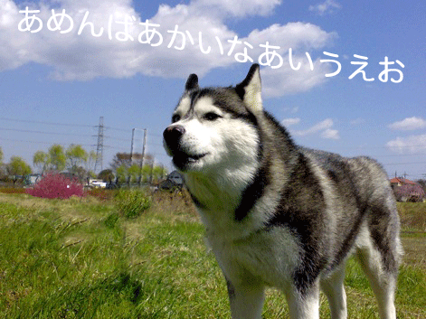 d0087675_23204043.gif