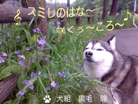 d0087675_2391899.gif