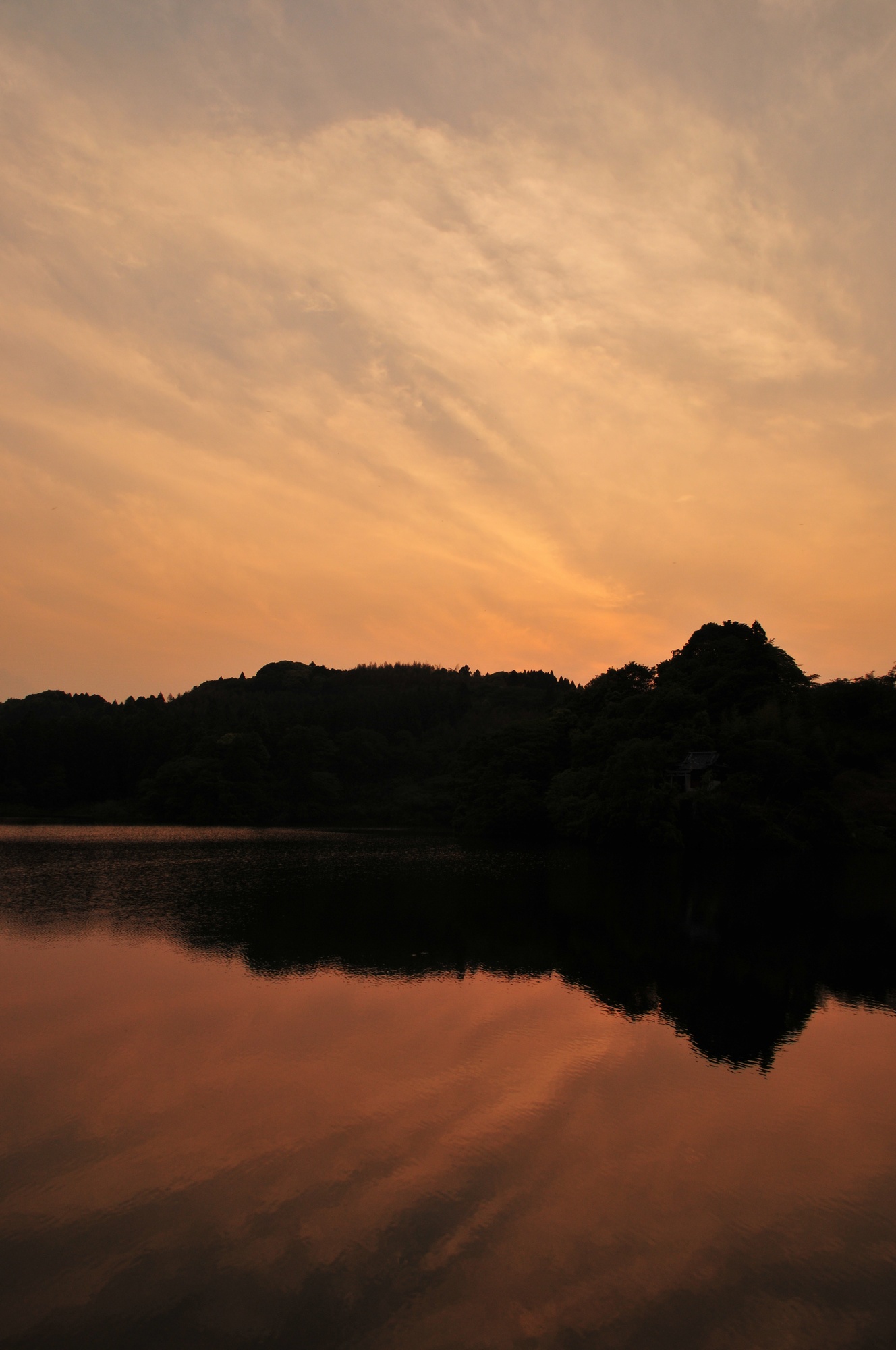 e0071178_9203779.jpg