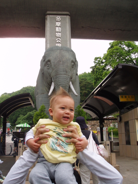 多摩動物公園に行ってきました_e0123680_19521736.jpg