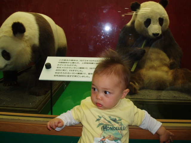 多摩動物公園に行ってきました_e0123680_19552132.jpg