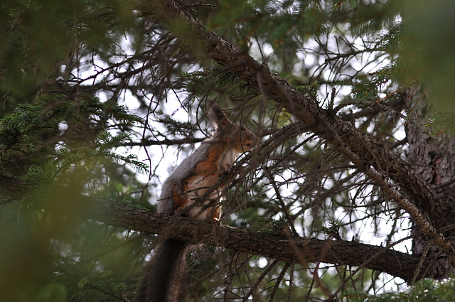 十勝の風景・・・春の庭園3/3_d0105582_2113194.jpg