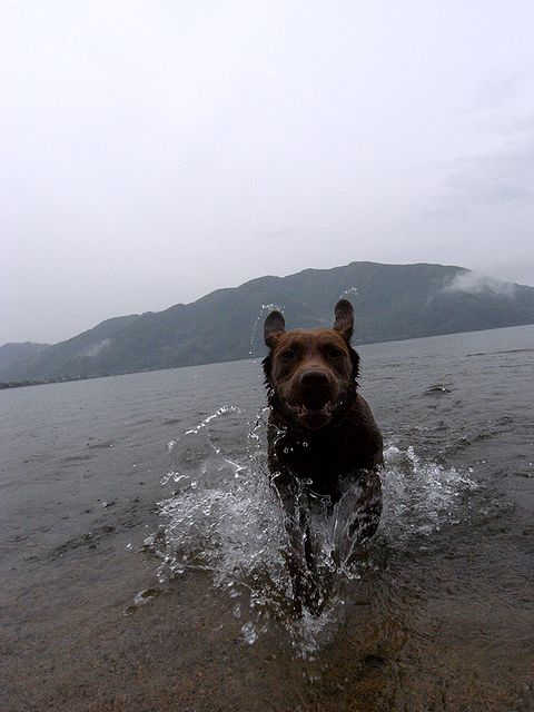a0093592_14494468.jpg