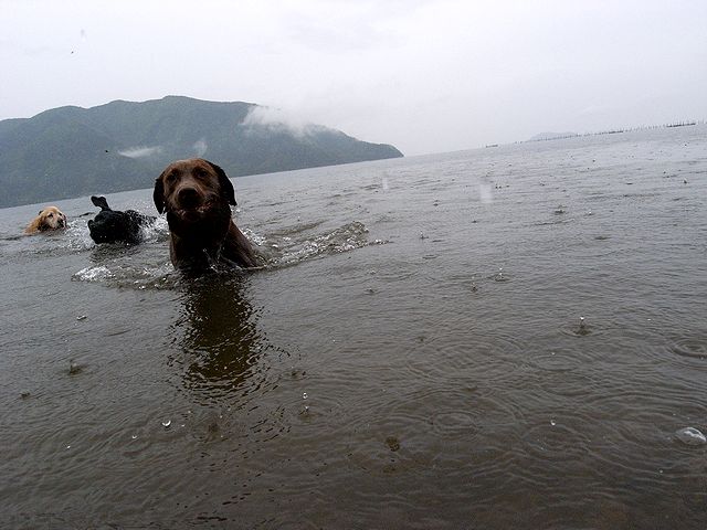 a0093592_15155985.jpg