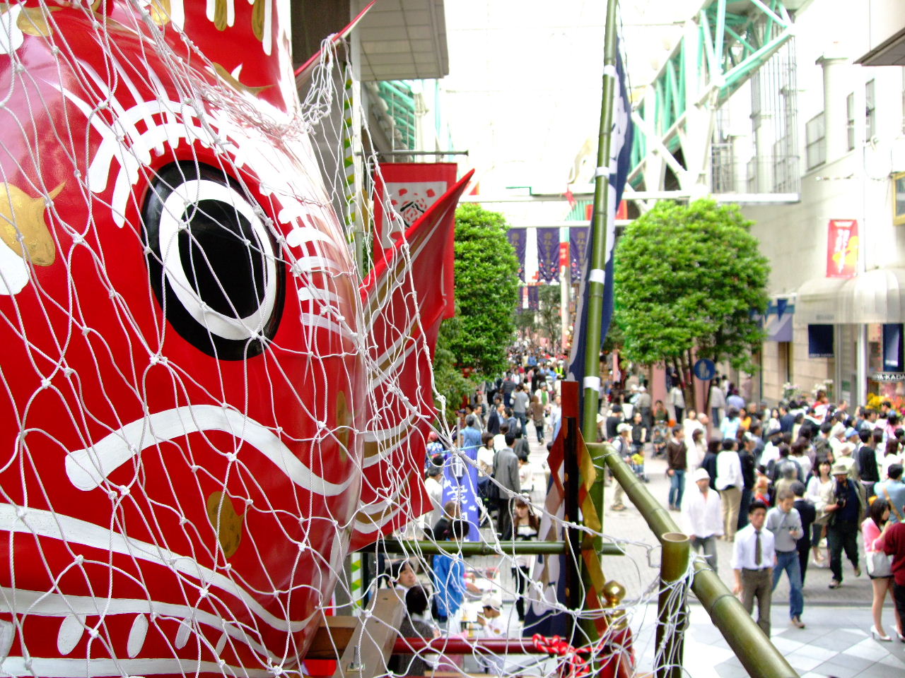 f0100593_1938198.jpg