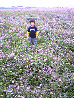 e0073397_1581080.jpg