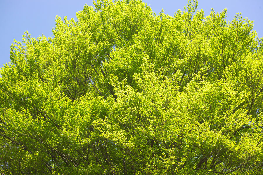 b0043304_16212415.jpg
