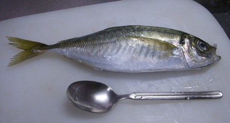 f0004309_20125067.jpg