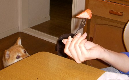 f0004309_2020408.jpg